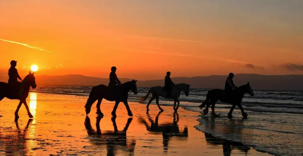 The jaco experience horseback riding